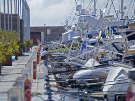 Porto Mirabello 14