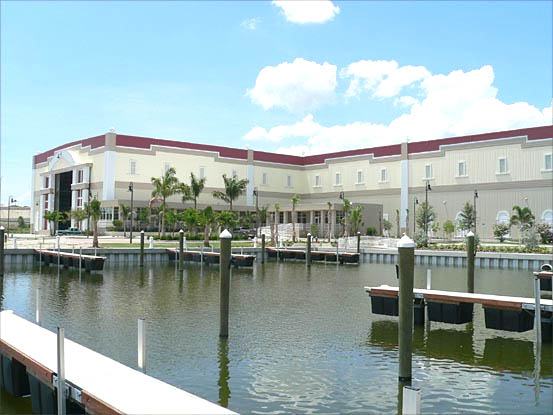 Loggerhead St. Petersburg