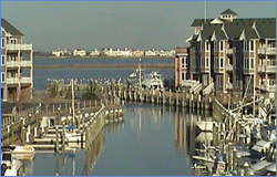Vinings Marine Group Shallowbab Bay Marina