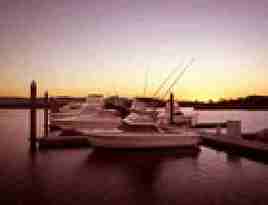 Hope Island Resort Marina 6
