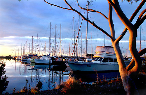 Western Port Marina