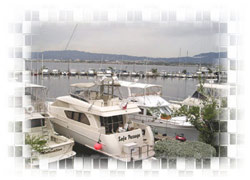 Royal Jamaica Yacht Club