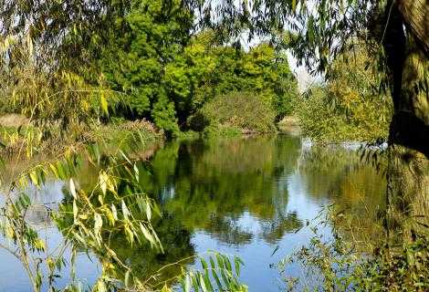 Buckden Marina