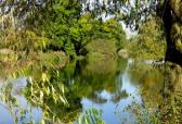 Buckden Marina