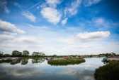 Ventnor Marina 2