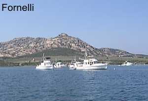 Campi boe Fornelli