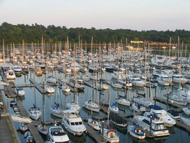 Swanwick Marina 5