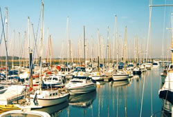 Sparkes Yacht Harbour