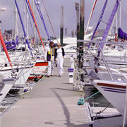 Newhaven Marina