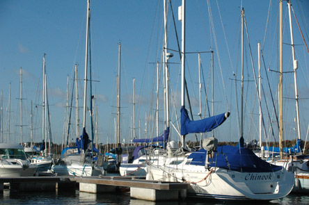 Universal Marina