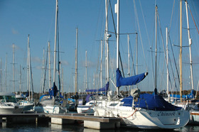 Universal Marina
