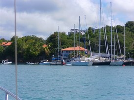 Prickly Bay Marina 6