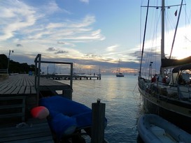 Prickly Bay Marina 5