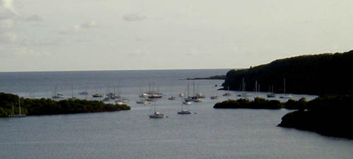 Hog Island