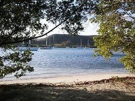 Hog Island 3