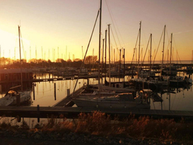 Flevo Marina 4