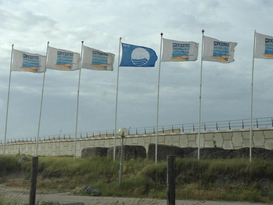 Marina Seaport Ijmuiden 3