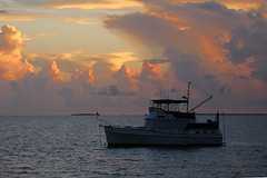 Coral Reef Yacht Club