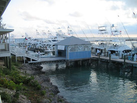 Spanish Cay Marina 3