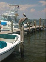 Jensens Twin Palm Marina 4