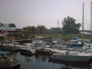 The Landing at Tarpon Springs