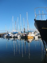 Amble Marina