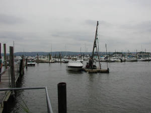 T & R Marina