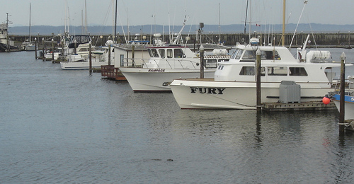 Westport  Marina