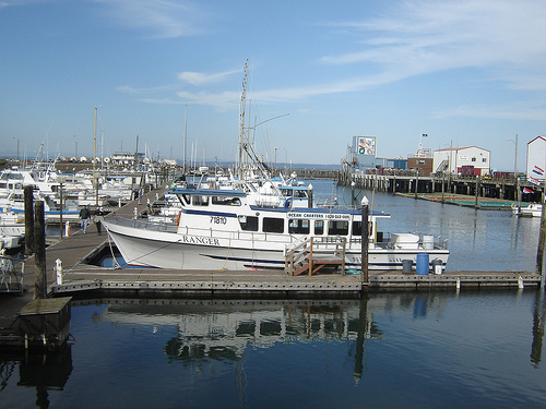 Westport  Marina