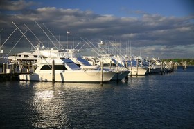 Montauk Marine Basin 15
