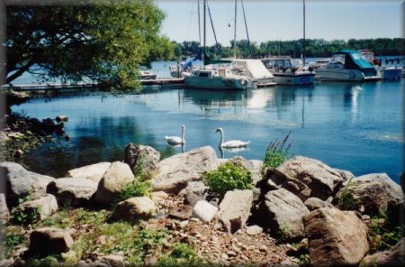 The Boathouse Marina