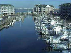 Vinings Marine