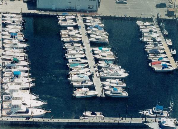The Marina at Barnegat Light