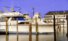 Morrison´s Marina