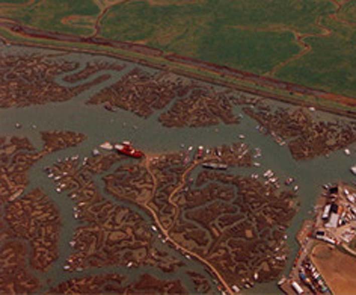 Tollesbury Saltings