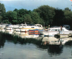 Bray Marina