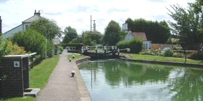 Cowroast Marina