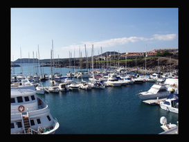 Marina San Miguel
