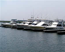 Schooner Island Marina
