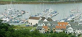 Craobh marina