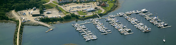 Craobh marina