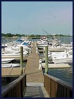 Bridgeport Marina