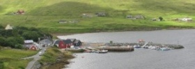 Voe
