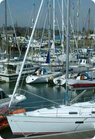 Fox´s Marina & Boatyard