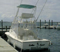 Dockside Marina