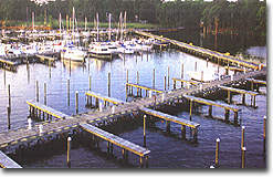 Albemarle Plantation Marina