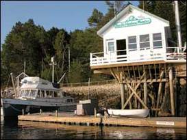 Bucks Harbor Marine and Charters