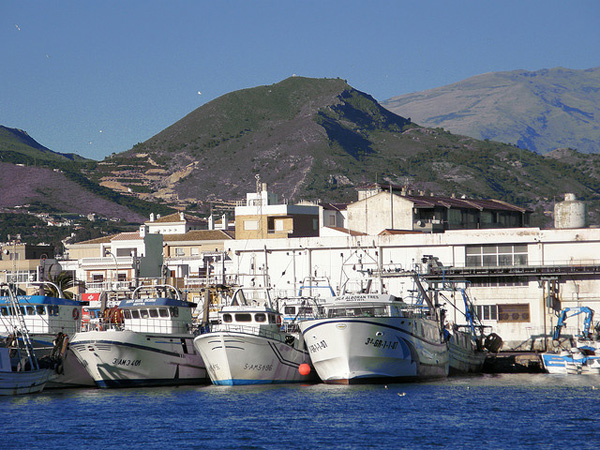 Real Club Náutico de Motril