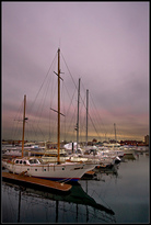 Shipyard Quarters Marina, Charlestown 2