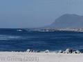 Caleta Flamenco